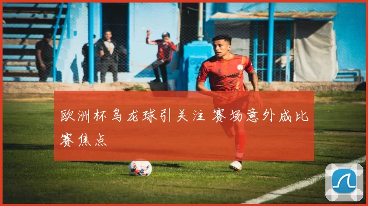 欧洲杯乌龙球引关注 赛场意外成比赛焦点