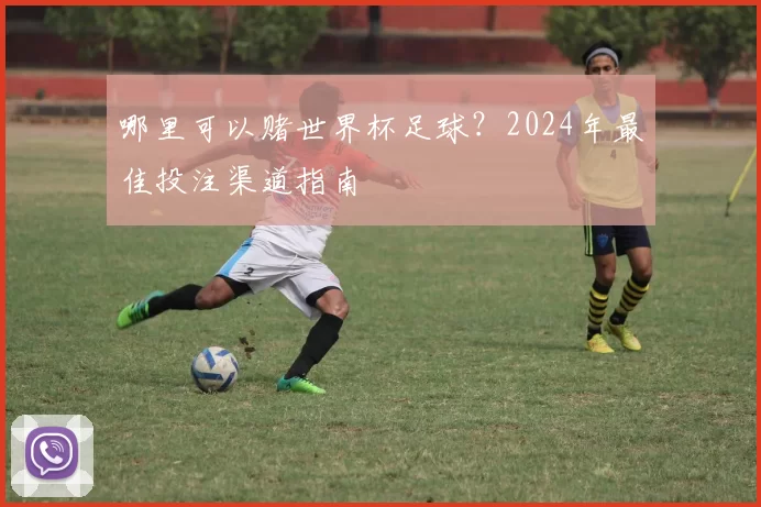 哪里可以赌世界杯足球?2024年最佳投注渠道指南