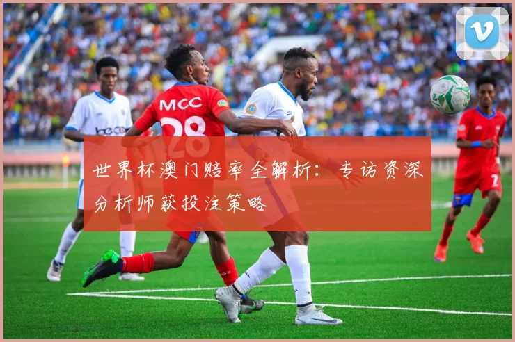 世界杯澳门赔率全解析:专访资深分析师获投注策略