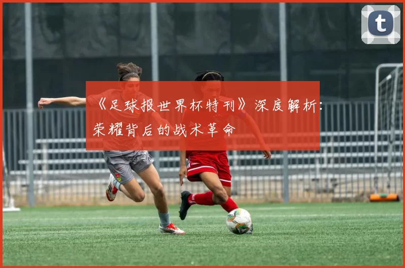《足球报世界杯特刊》深度解析：荣耀背后的战术革命