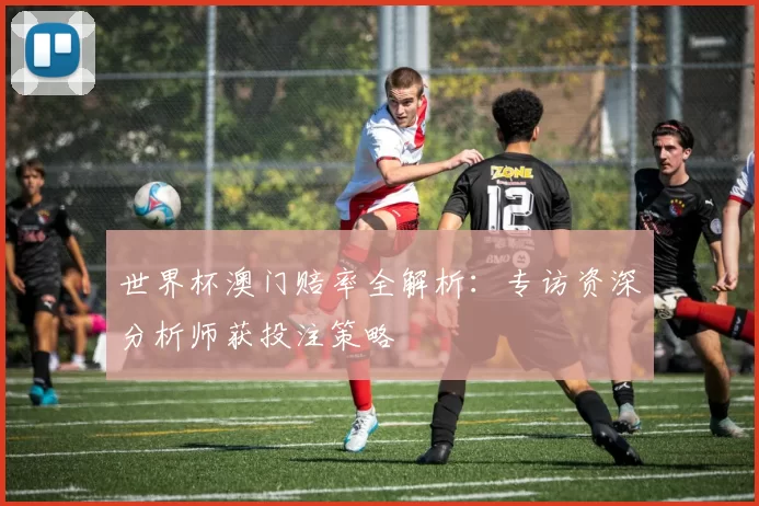 世界杯澳门赔率全解析:专访资深分析师获投注策略