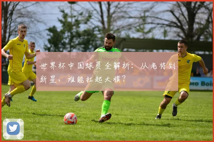 世界杯中国球员全解析:从老将到新星,谁能扛起大旗?