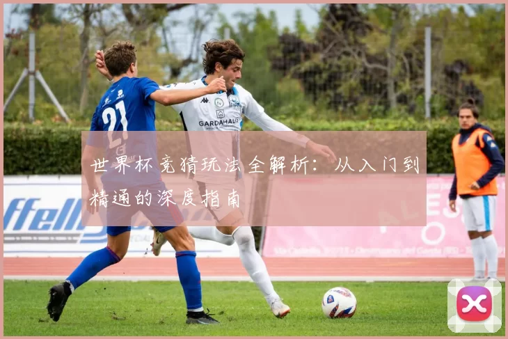 世界杯竞猜玩法全解析:从入门到精通的深度指南