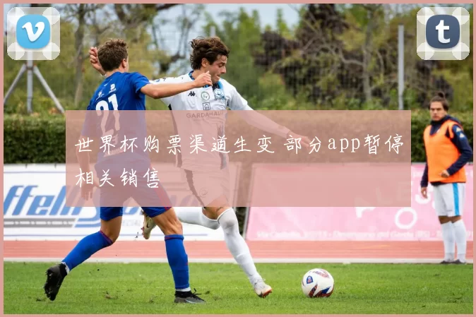 世界杯购票渠道生变 部分app暂停相关销售