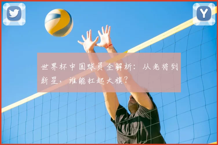 世界杯中国球员全解析:从老将到新星,谁能扛起大旗?