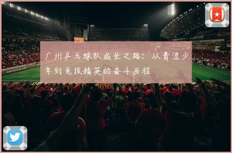 广州乒乓球队成长之路：从青涩少年到竞技精英的奋斗历程