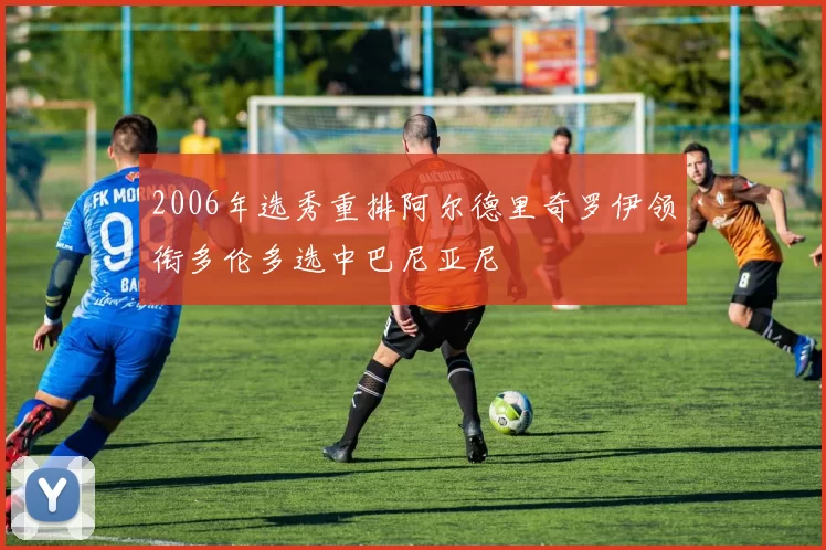2006年选秀重排阿尔德里奇罗伊领衔多伦多选中巴尼亚尼
