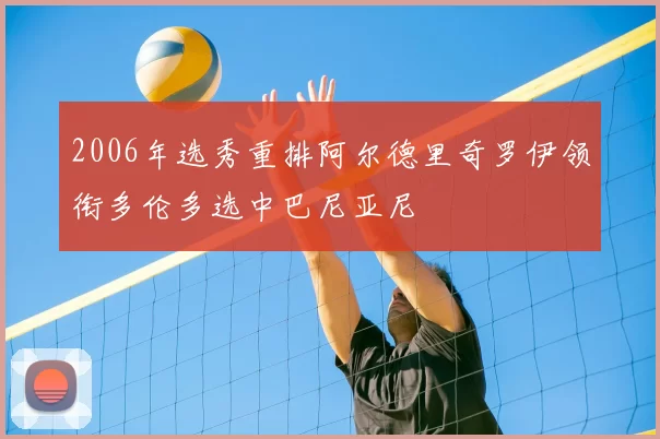 2006年选秀重排阿尔德里奇罗伊领衔多伦多选中巴尼亚尼