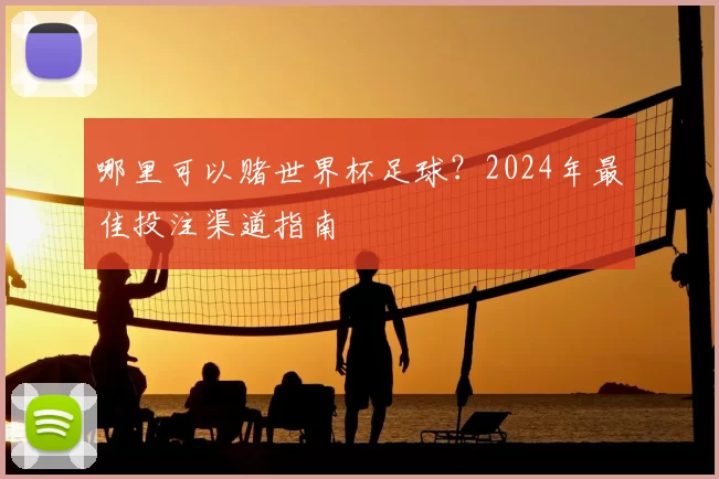 哪里可以赌世界杯足球?2024年最佳投注渠道指南