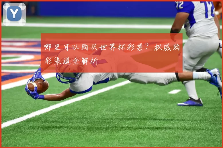 哪里可以购买世界杯彩票?权威购彩渠道全解析