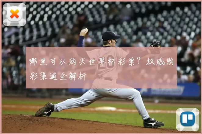 哪里可以购买世界杯彩票?权威购彩渠道全解析