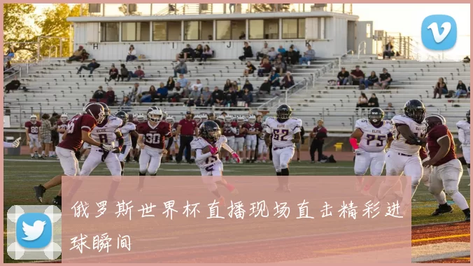 俄罗斯世界杯直播现场直击精彩进球瞬间